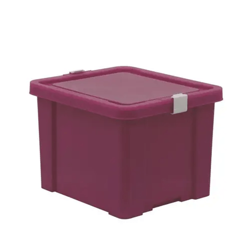 CAJA ORGANIZADORA DELLO 42,4 X 30 X 18,5 CM CRISTAL/ROSADO - Samer GO