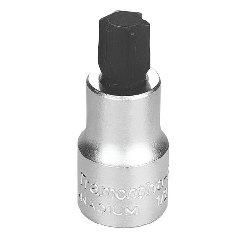Dado En Acero Cromo Vanadio Punta Trafix T60 - Encastre 1/2" Tramontina Pro